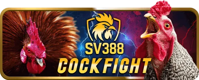 Cấp độ VIP Đồng new888 casino